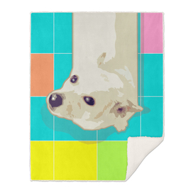 White Puppy on Geometric Floor