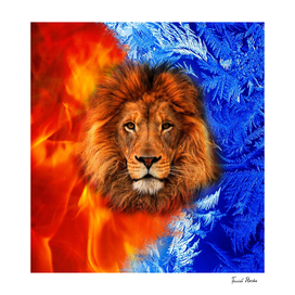 Fire and ice lion