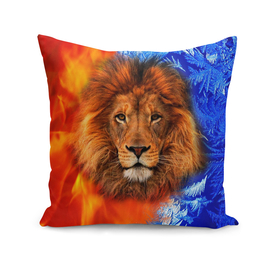 Fire and ice lion