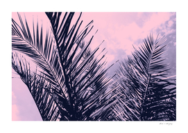 Summer Palms - Cali Vibes #2 #tropical #decor #art