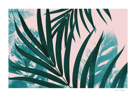 Palm & Monstera Leaves Mix #1 #foliage #decor #art
