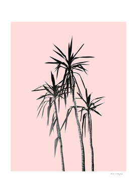 Palm Trees - Blush Cali Summer Vibes #1 #decor #art