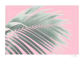 Palm Leaf Pastel Vibes #1 #tropical #decor #art