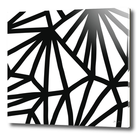 Modern Black and White geometric pattern
