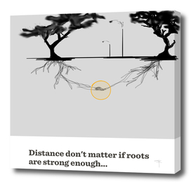 21 - roots and distance