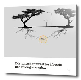21 - roots and distance