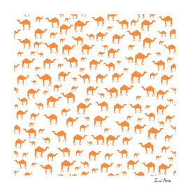 Camel pattern