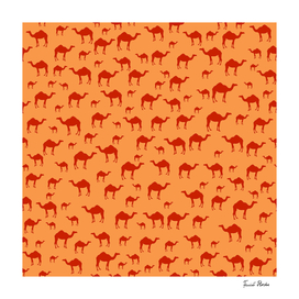 Camel pattern
