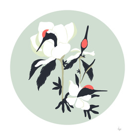 Crane Flowers