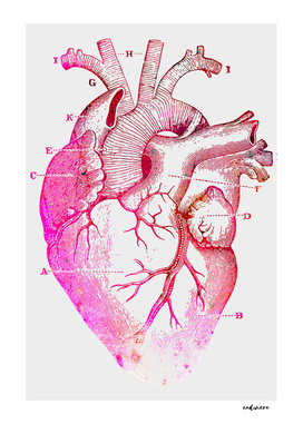 The Anatomy of My Heart #buyart #curioos #wall #art