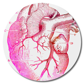 The Anatomy of My Heart #buyart #curioos #wall #art