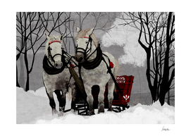horse sleigh ride