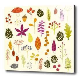 Autumn Fall Forest Woodland Nature Bits