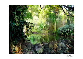 Jungle pond,