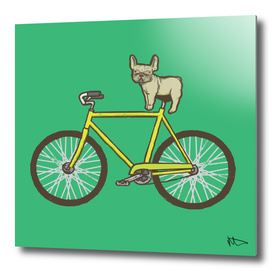 Frenchie on a Fixie