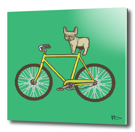 Frenchie on a Fixie