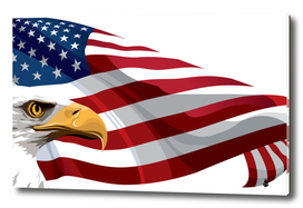 Flag of the United States American Flag and Eagle