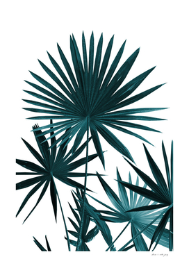 Fan Palm Leaves Jungle #1 #tropical #decor #art