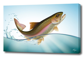 Rainbow trout