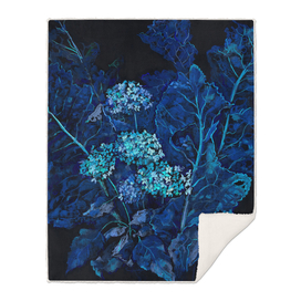 Hydrangea and Horseradish, Blue and Black
