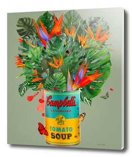 Campbell´s tropical