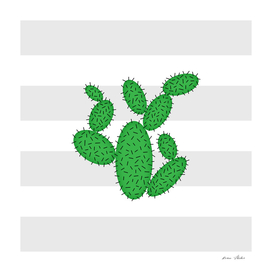 Cactus -  strips - gray and white.