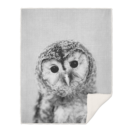 Baby Owl - Black & White