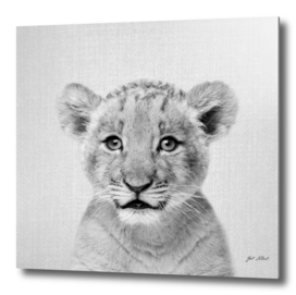 Baby Lion - Black & White