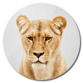 Lioness - Colorful