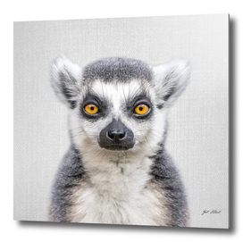 Lemur - Colorful