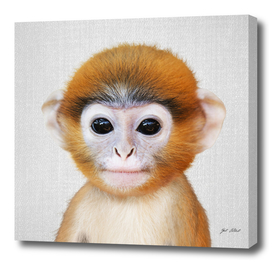 Baby Monkey - Colorful