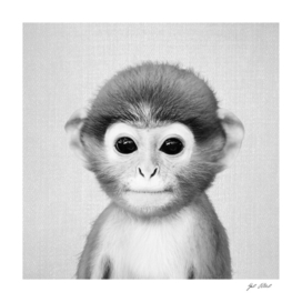 Baby Monkey - Black & White