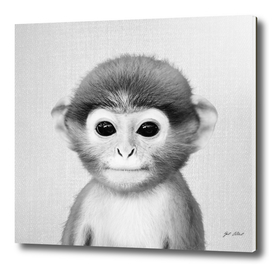 Baby Monkey - Black & White