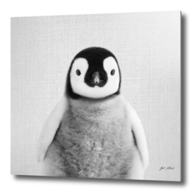 Baby Penguin - Black & White