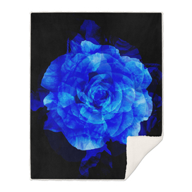 Blue Rose Abstract