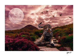 Tiger Player by GEN Z
