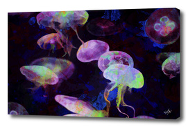 JellyFish