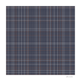 Navy and Rust Grid on Blue