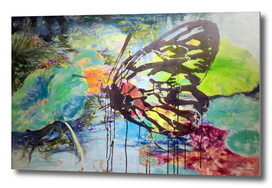 butterfly fantasy #1