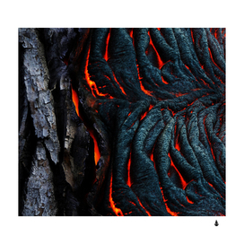 Dried lava