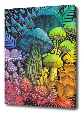 Rainbow Mushrooms
