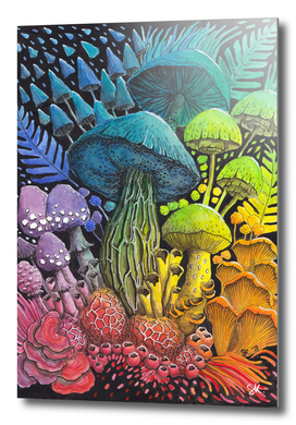 Rainbow Mushrooms