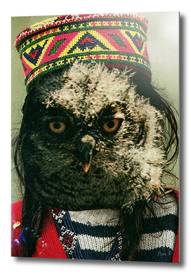 Kubrick owl