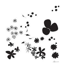 Flowers - BLACKwhite