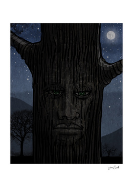 night tree