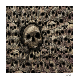 skulls 67