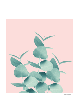 Eucalyptus Leaves Green Blush #1 #foliage #decor #art