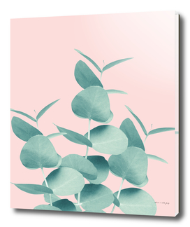 Eucalyptus Leaves Green Blush #1 #foliage #decor #art