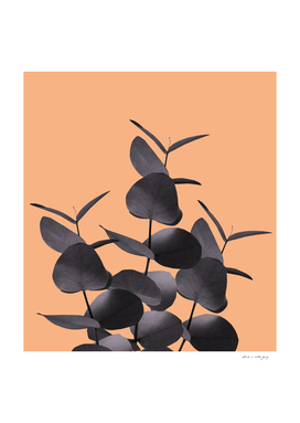 Eucalyptus Leaves Black Orange #1 #foliage #decor #art