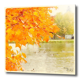 Autumn Leaves Around the Pond